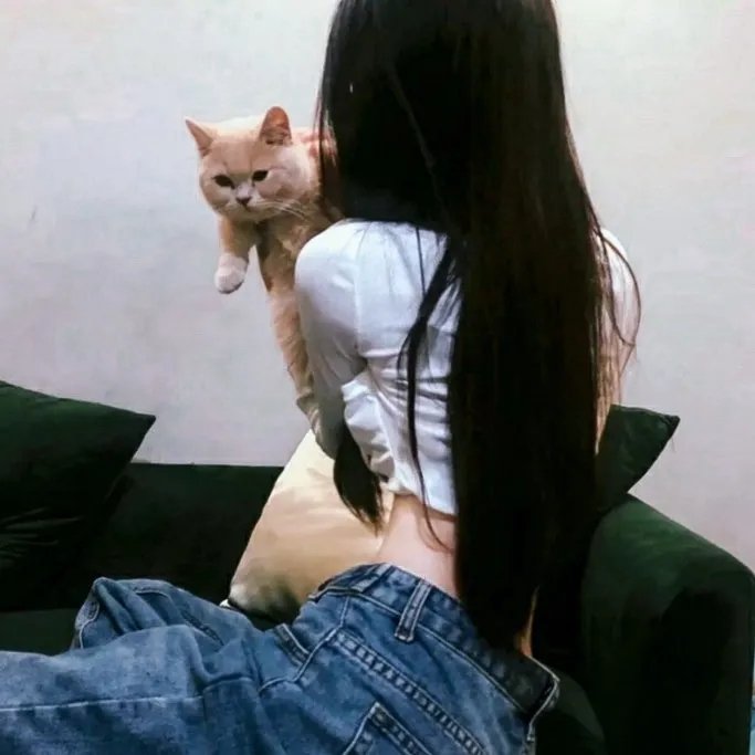老爷，别闹