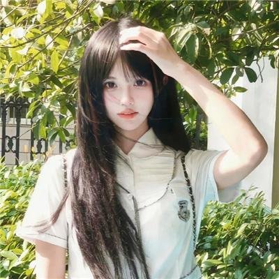 吉娃娃